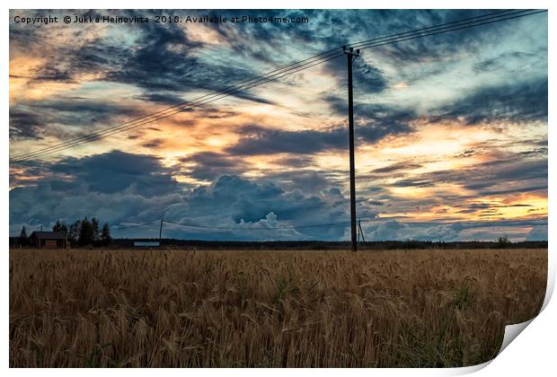 Evening By The Barley Fields Print by Jukka Heinovirta