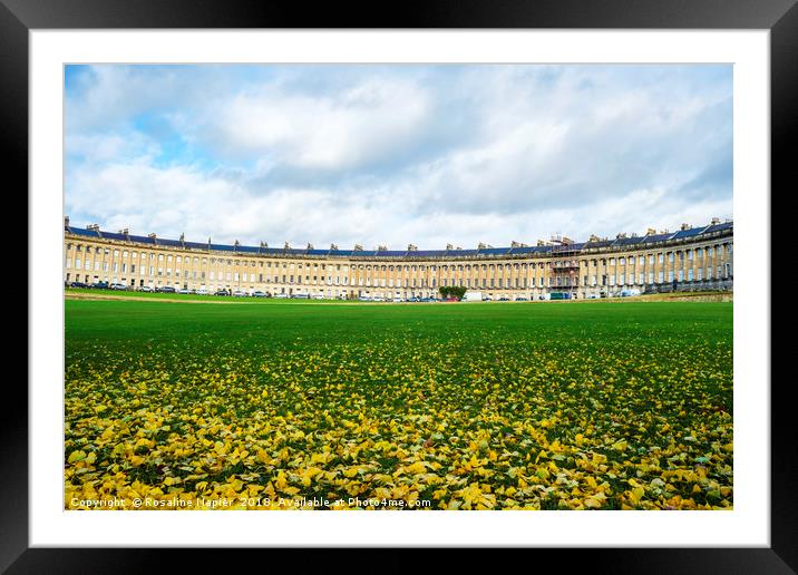 Royal Crescent Bath and fallen leaves Framed Mounted Print by Rosaline Napier
