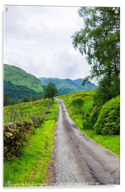 Scottish countryside lane with grazing sheep Acrylic by Rosaline Napier