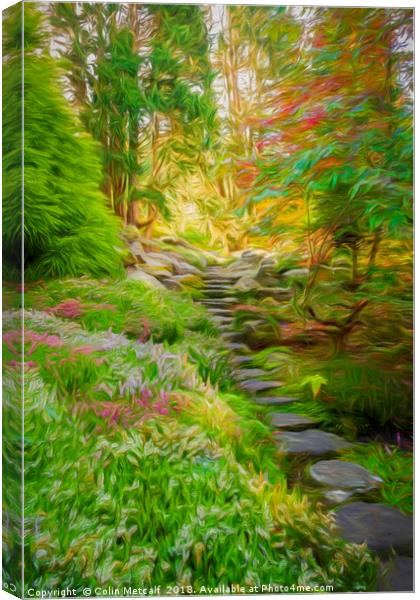 Stairway to? Who Cares? Canvas Print by Colin Metcalf