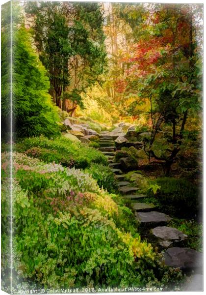 Stairway to? Who Cares? Canvas Print by Colin Metcalf