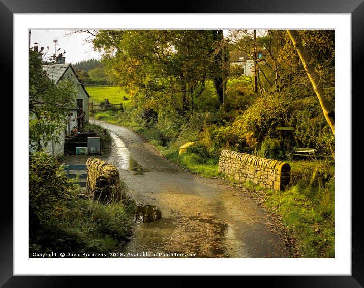 Glenashdale Cottages Framed Mounted Print by David Brookens