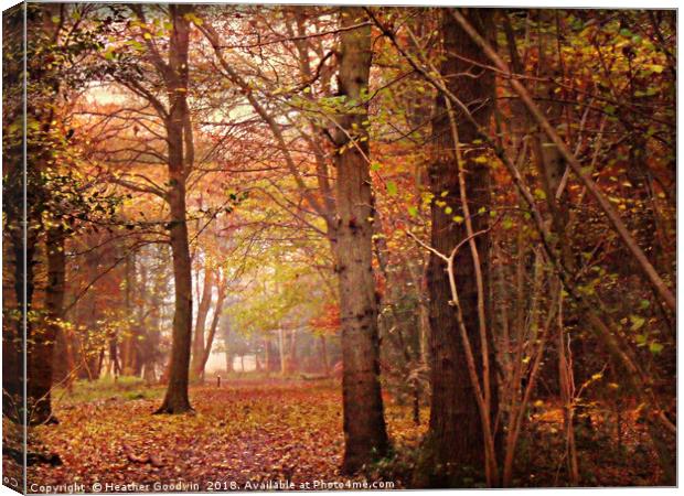 Path's End Canvas Print by Heather Goodwin