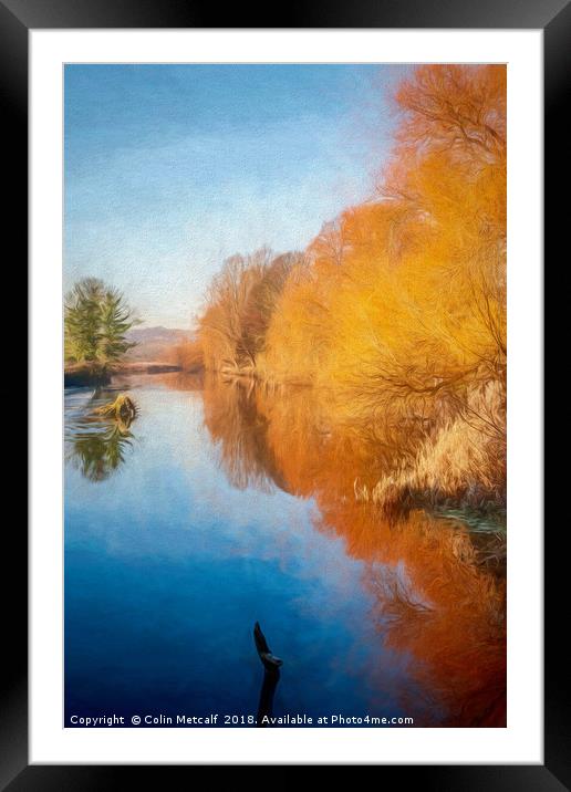 Winter Sun on the Aire Framed Mounted Print by Colin Metcalf