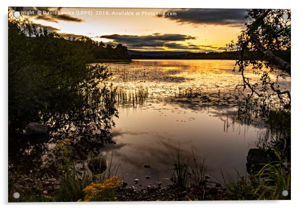 Loch Kinord Acrylic by David Lewins (LRPS)