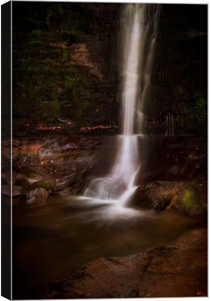 The tall waterfall at Blaen y Glyn. Canvas Print by Leighton Collins