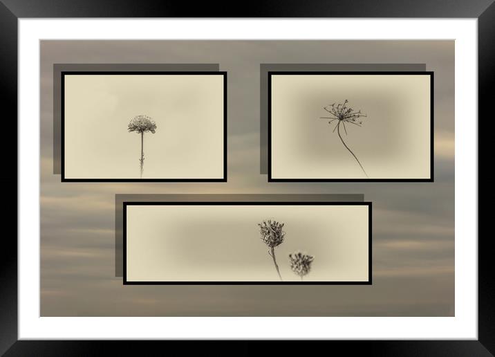 Autumnal Triptych 1 Framed Mounted Print by Steve Purnell