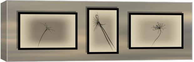 Autumnal Triptych 2 Canvas Print by Steve Purnell