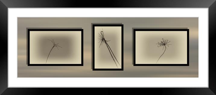 Autumnal Triptych 2 Framed Mounted Print by Steve Purnell