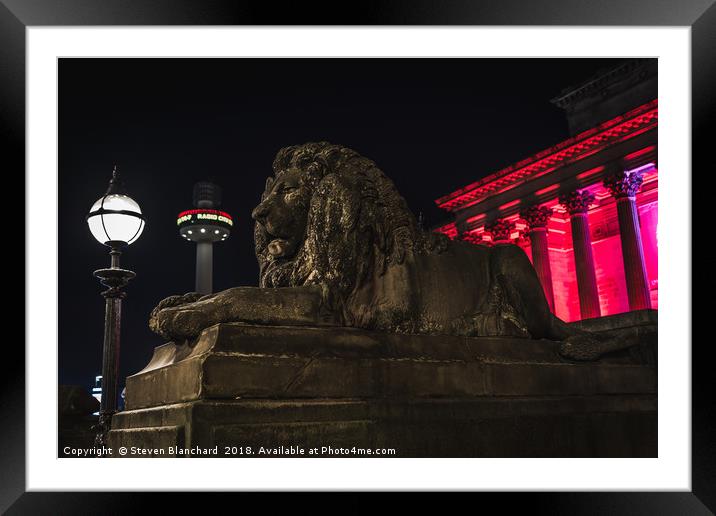 Lion guard Framed Mounted Print by Steven Blanchard