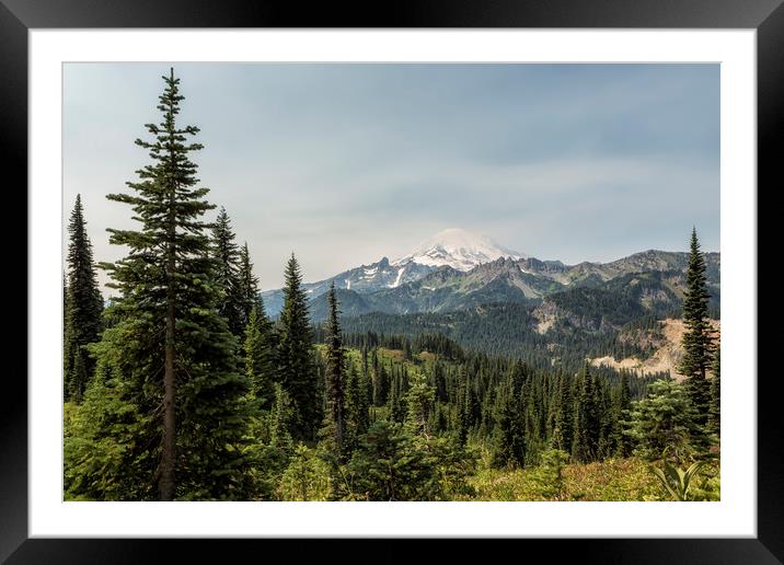 Mt Rainier from Naches Peak Loop Framed Mounted Print by Belinda Greb