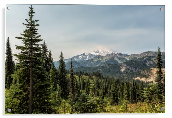 Mt Rainier from Naches Peak Loop Acrylic by Belinda Greb