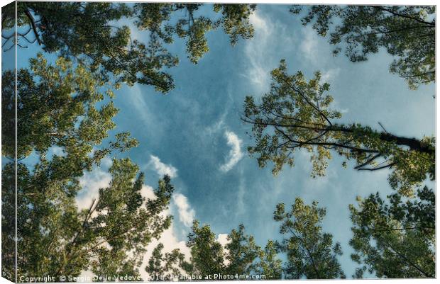 the sky in the trees at Park of Cormor. Canvas Print by Sergio Delle Vedove