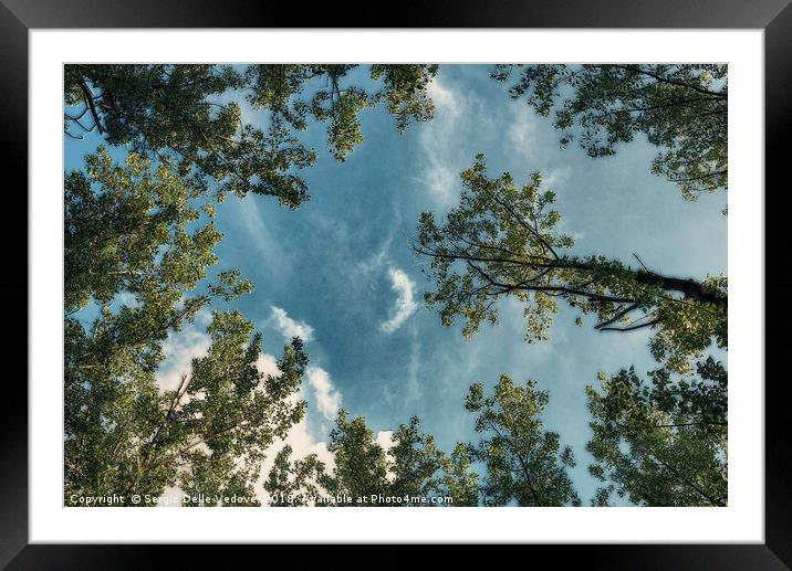 the sky in the trees at Park of Cormor. Framed Mounted Print by Sergio Delle Vedove