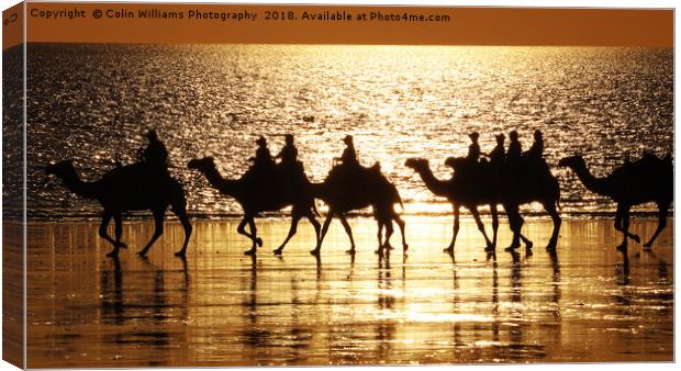 Beach Camels at Sunset 1 Canvas Print by Colin Williams Photography