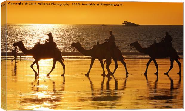 Beach Camels at Sunset 2 Canvas Print by Colin Williams Photography