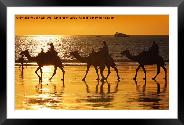 Beach Camels at Sunset 2 Framed Mounted Print by Colin Williams Photography