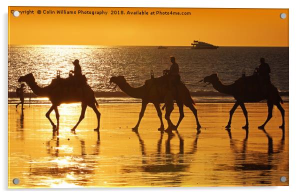Beach Camels at Sunset 2 Acrylic by Colin Williams Photography
