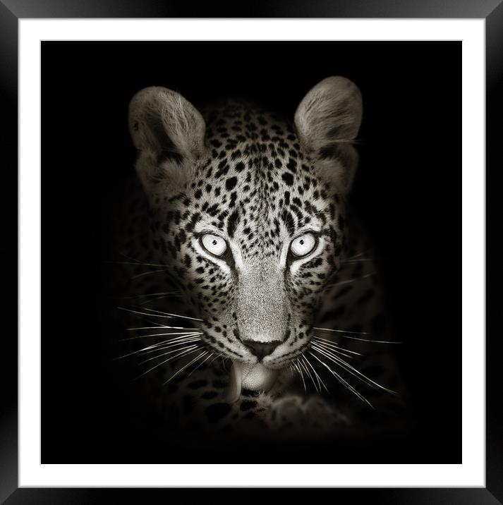 Leopard portrait in the dark Framed Mounted Print by Johan Swanepoel