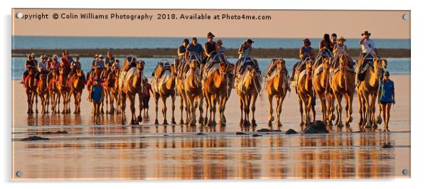Beach Camels at Sunset 3 Acrylic by Colin Williams Photography