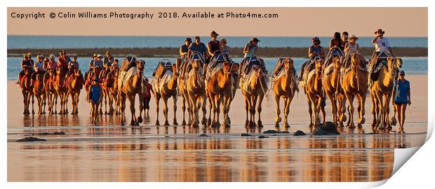 Beach Camels at Sunset 3 Print by Colin Williams Photography