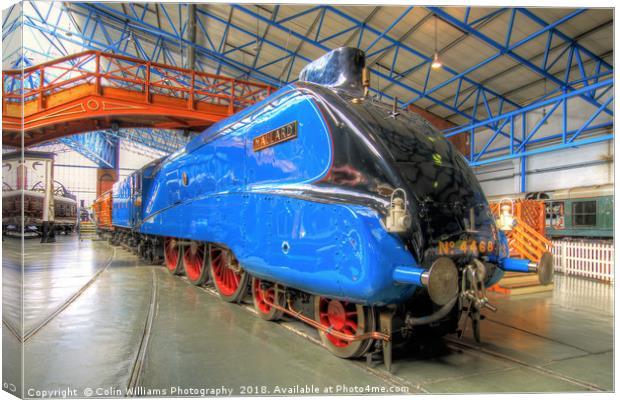 The Mallard 4468 Canvas Print by Colin Williams Photography