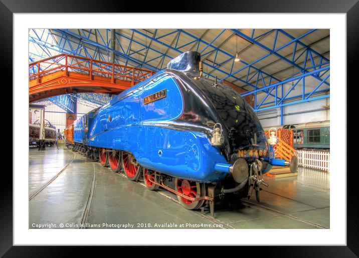 The Mallard 4468 Framed Mounted Print by Colin Williams Photography