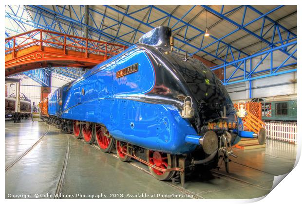 The Mallard 4468 Print by Colin Williams Photography