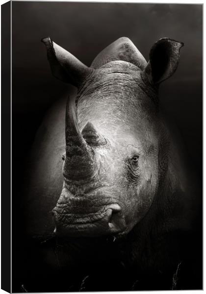 Rhinoceros portrait close-up Canvas Print by Johan Swanepoel