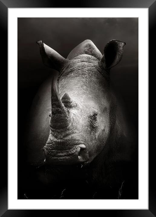 Rhinoceros portrait close-up Framed Mounted Print by Johan Swanepoel