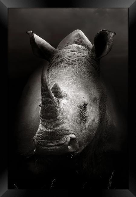 Rhinoceros portrait close-up Framed Print by Johan Swanepoel