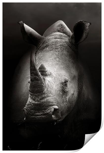 Rhinoceros portrait close-up Print by Johan Swanepoel