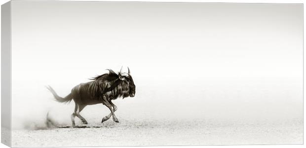 Blue wildebeest in desert Canvas Print by Johan Swanepoel
