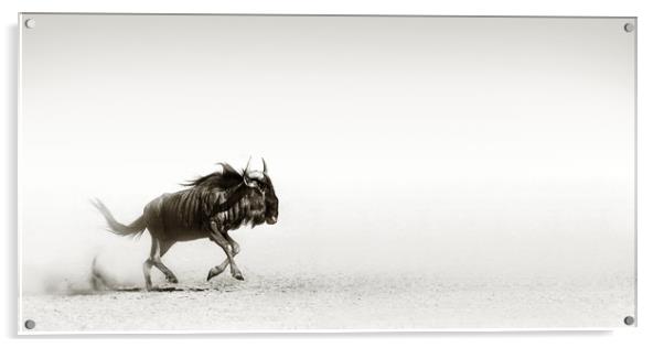 Blue wildebeest in desert Acrylic by Johan Swanepoel