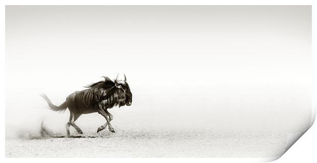 Blue wildebeest in desert Print by Johan Swanepoel