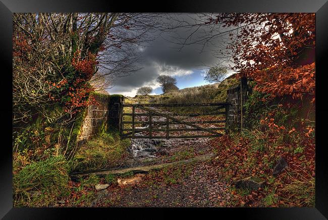 Gateway To Autumn Framed Print by Mike Gorton