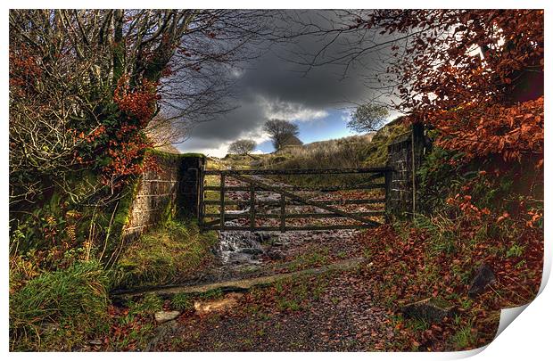 Gateway To Autumn Print by Mike Gorton