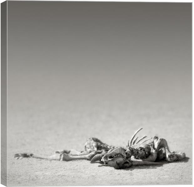 Eland skeleton in desert Canvas Print by Johan Swanepoel