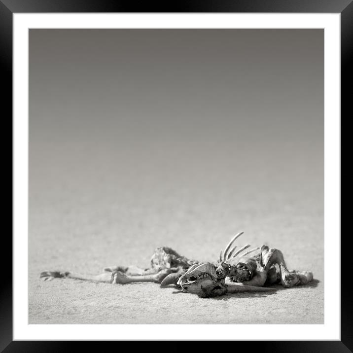 Eland skeleton in desert Framed Mounted Print by Johan Swanepoel