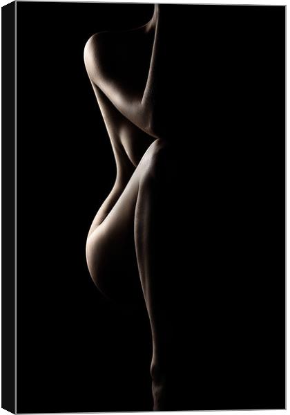 Silhouette of nude woman Canvas Print by Johan Swanepoel