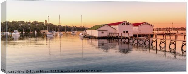 Freshwater Bay Boatsheds Canvas Print by Susan Moss