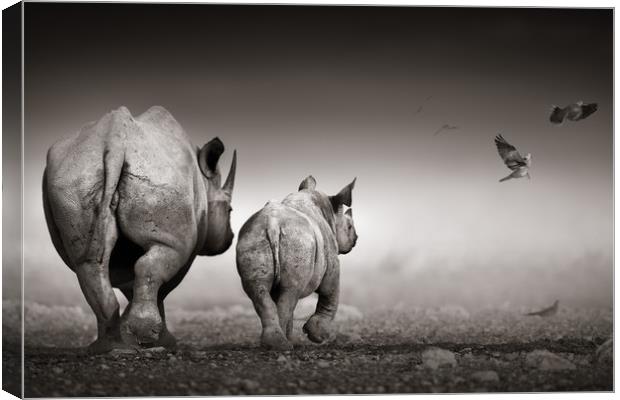 Black Rhinoceros cow with calf  Canvas Print by Johan Swanepoel