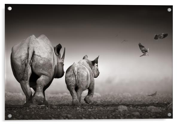 Black Rhinoceros cow with calf  Acrylic by Johan Swanepoel