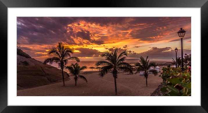 Palm Trees and Sunset Framed Mounted Print by Naylor's Photography