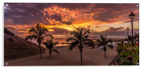 Palm Trees and Sunset Acrylic by Naylor's Photography