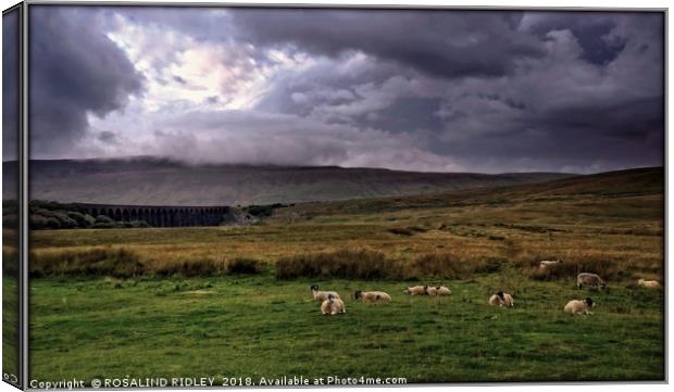 "Storm over  the Viaduct" Canvas Print by ROS RIDLEY
