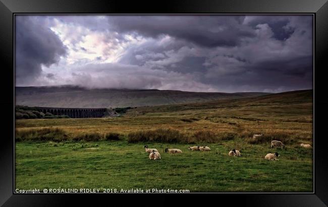 "Storm over  the Viaduct" Framed Print by ROS RIDLEY