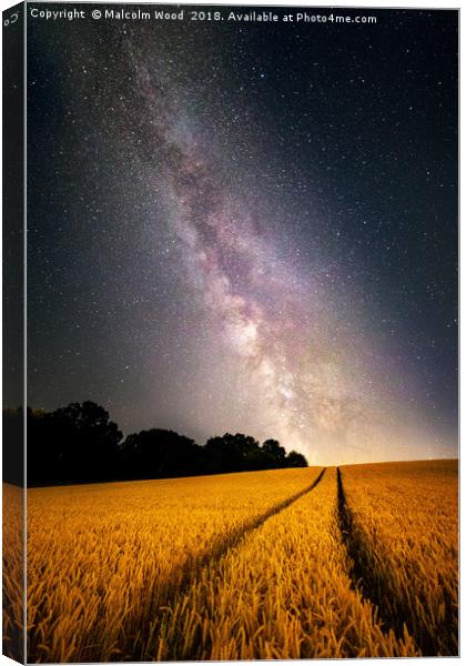 Milkyway Canvas Print by Malcolm Wood
