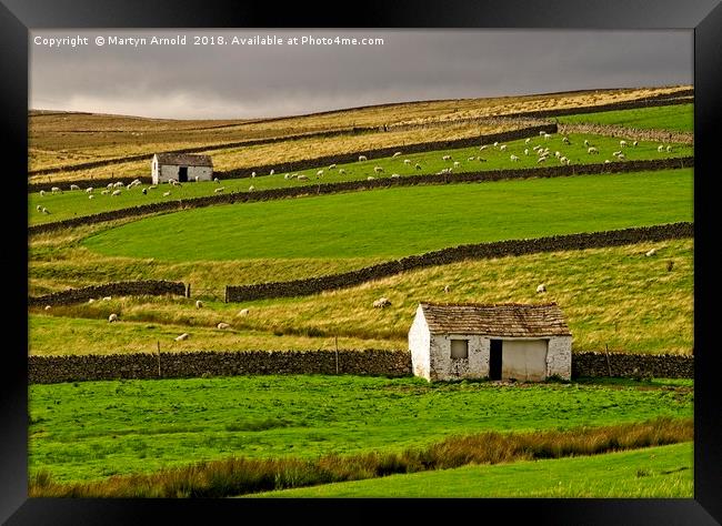 Stone Barns in the Teesdale Landscape Framed Print by Martyn Arnold