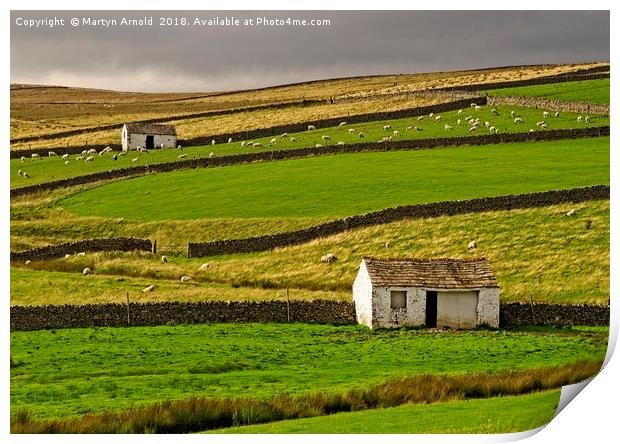 Stone Barns in the Teesdale Landscape Print by Martyn Arnold